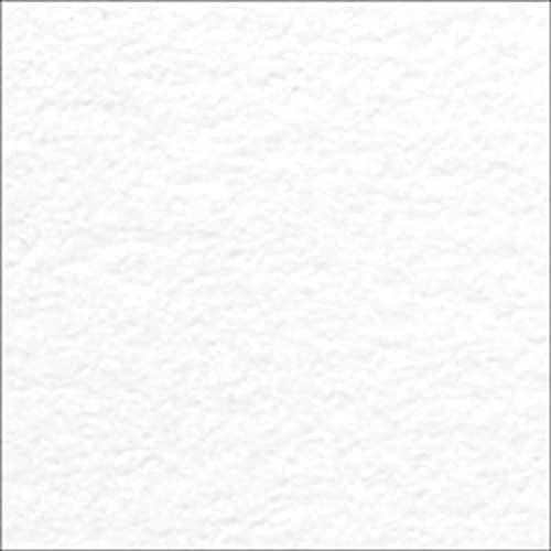 Letterpress 110 LB. White - 10 PK, Essenties of Ellen Cardstock