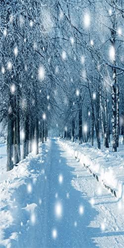 10 על 20 רגל יער שלג חורף עצי רקע לחג המולד משני צידי הכביש רקע צילום שלג לבן
