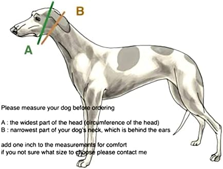 צווארון כלבים מרטינגייל עבור גרייהאונד סלוקי וויפט וגזעים אחרים עם צוואר דומה 2