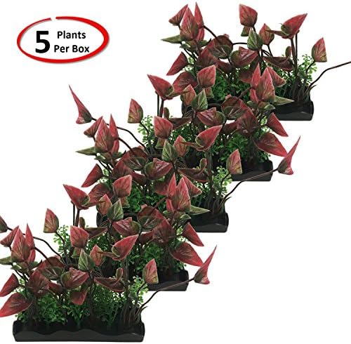 צמחי חבורה-צור נוף מימי שופע באופן מיידי עם קופסה של חמישה 4 3/4 ארוך על 1 5/8 צמחים רחבים