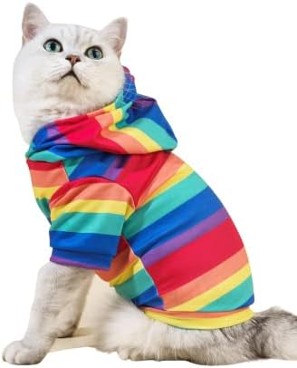 Qwinee Rainbow Colorpul Colortual Hoodie Stemshirt חולצת כלבים בגדי חתול לגור חתלתול כלבים קטנים