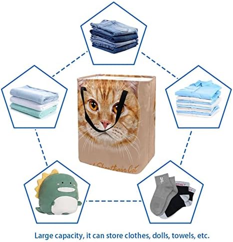 בריטי שורטיאן חתול הדפסת מתקפל סל כביסה, 60 ליטר עמיד למים סלי כביסה סל כביסה בגדי צעצועי אחסון עבור