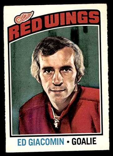 1976 O-PEE-CHEE NHL 160 אד ג'יאקומין דטרויט כנפיים אדומות VG כנפיים אדומות
