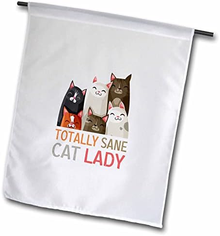 3 דרוז חתולים מצחיקים - גברת חתול שפויה לגמרי. מתנה לחתול, חובבי חיות מחמד - דגלים