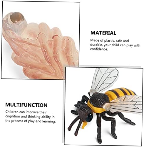 יארדווה 1 סט/4 יחידות מחזור צמיחה של דבורים צעצועי עכביש צעצועים חינוכיים לצעצועים פעוטות לילדים מחזור מחזור