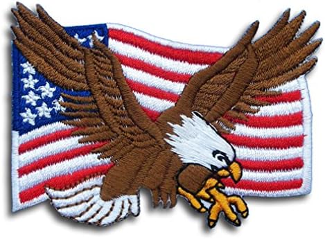 נשר הוק קירד ארצות הברית ארהב ארהב האמריקאית צוות דגל צבא צבא צבא אופנוען ז'קט חולצת טלאי אחיד תפור