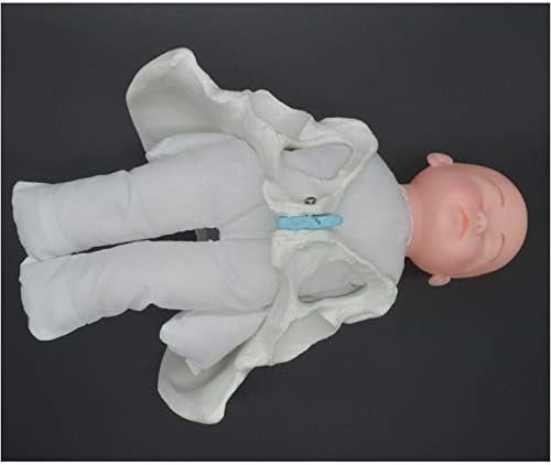 דגם לידה של האגן הנשי - מיני אגן נשי ומודל לתינוקות - סימולטור לידה סטנדרטי עם דגמים של אגן לתינוקות