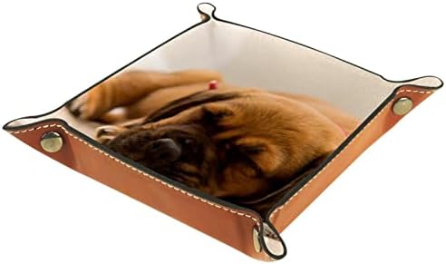 קופסאות אחסון של טאקמנג שינה קטנה וחמודה של כלבים, מארגן אחסון שולחן עבודה של מגש עור לארנק