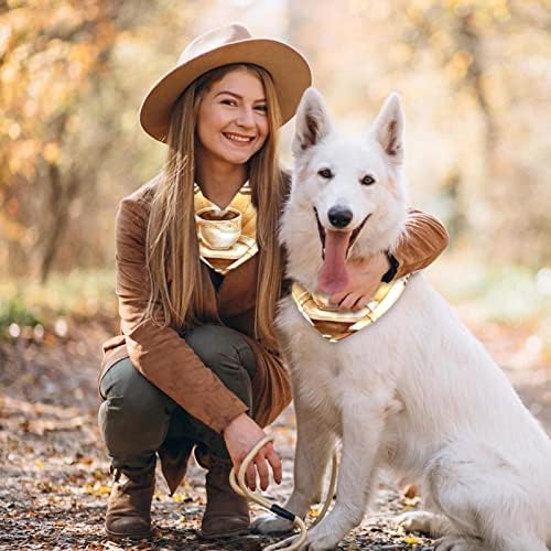 כלב בנדנה - 2 חבילות חיית מחמד אידיאלית, צעיף צוואר יומי של צוואר לחתולי כלבים קטנים עד גדולים, קפה קלאסי