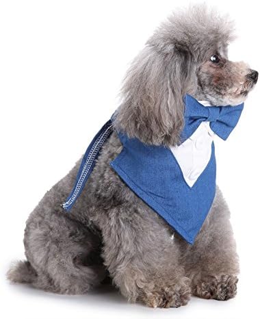 כלב רשמי טוקסידו בנדנה בנדנה צווארון לבוש לחתונה עם קשת, עניבת ג'ינס חיית מחמד מתכווננת לטיפוח