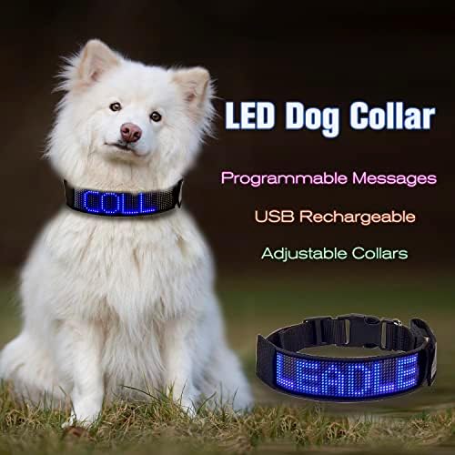 מובילים צווארון כלבים הניתן לתכנות מהבהב אור נטען נטען חיות מחמד צווארון בטיחות כלבים זוהר בלולאת הצוואר