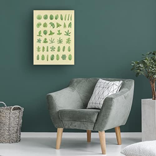 סימן מסחרי אמנות 'צמחי צמחים בוטניים XII' אמנות קנבס מאת תיק אפל פראי