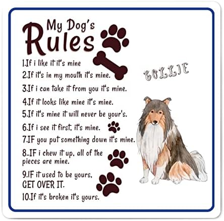 מצחיק מתכת כלב סימן שלט שלי כלב של כללי כלב סימן מבורך עם כלב ציטוט רטרו מתכת הדפסת עתיק לחיות