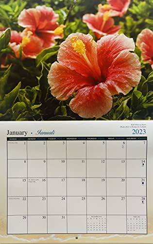 LONG'S 2023 פרחים של לוח השנה של הוואי בהוואי