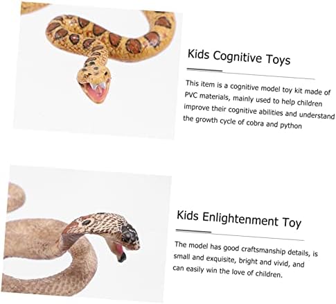 Homoyoyo 2 מערכים מודל מחזור בעלי חיים זחילה צעצועים חינוכיים צעצועים חינוכיים צעצועים חינוכיים ציוד