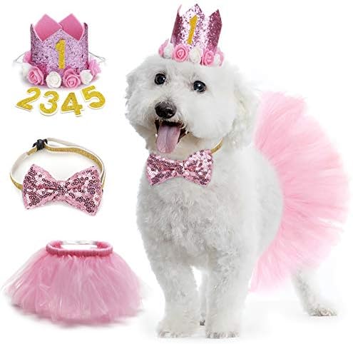אגדה כלב חצאית טוטו, ציוד למסיבות יום הולדת לכלב - כובע יום הולדת לכלב - קשת כלב, ילדת יום הולדת של כלב ורוד