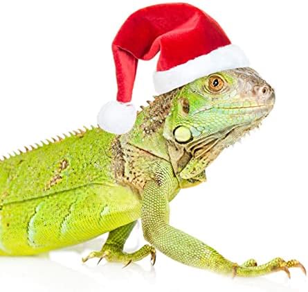 סט תלבושת חג המולד של עוף חיה קטנה חיה מיני סנטה כובע צעיף סט קלאוס כובע סנטר מתכוונן רצועת סנטר חמוד