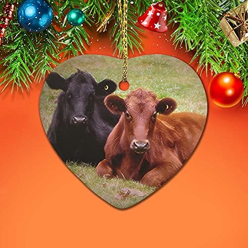 ארוגלד אדום ושחור אנגוס פרה חולקים אהבה וחיבוקים קישוטים לחג המולד קישוט