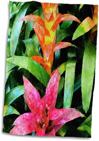 3drose צמחי מאקרו פלורן - יפהפיות ברומלייד - מגבות