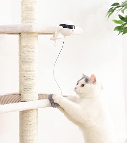 Lowfi ציוד חיות חכם חכם הרמת כדור שיער הקניט מקט לחתול עצמי אינטראקטיבי היי חתול חשמלי הקנטה הכדור
