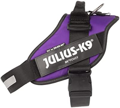 Julius-K9 IDC Powerharness, גודל: XL/2, סגול כהה