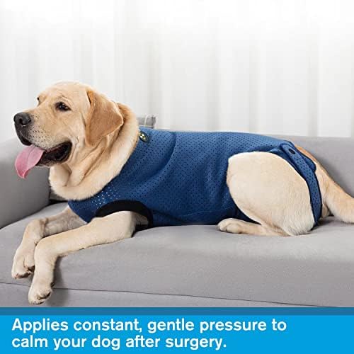 קודאו כלב ניתוח התאוששות חליפה, עמיד למים התאוששות חליפה לכלבים, ניתוח חליפת עבור פצעים להגן, קונוס
