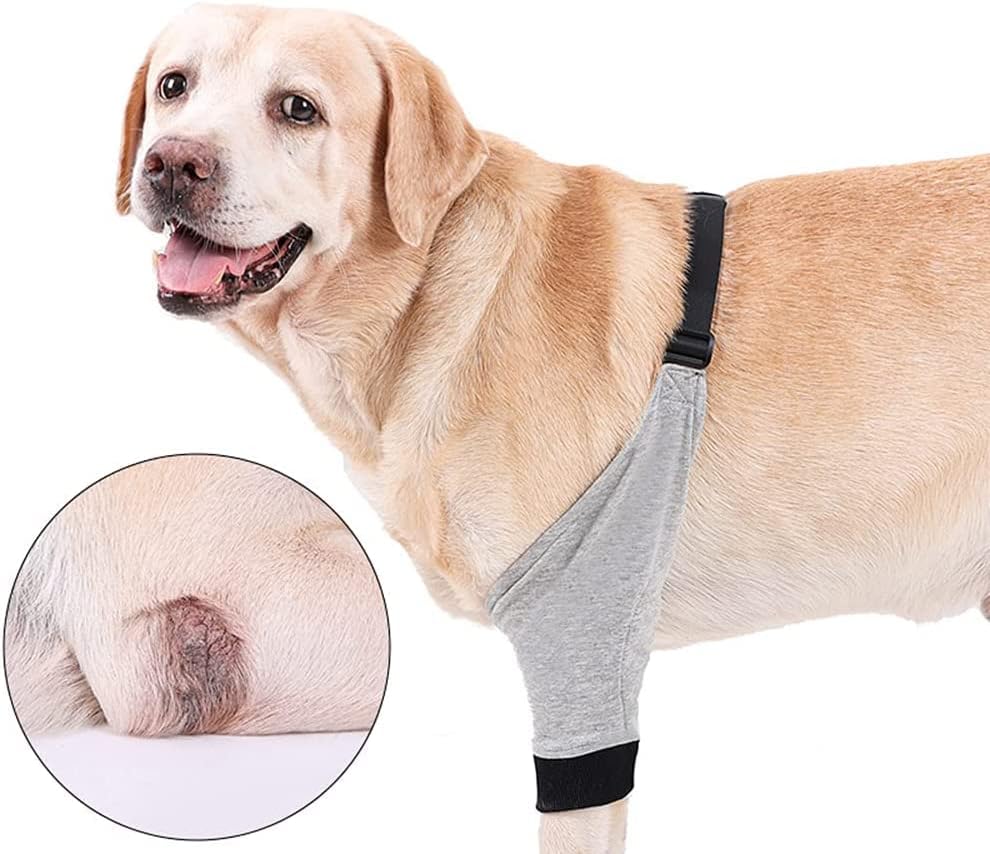 כלב קדמי רגל פלטה התאוששות שרוול מגן לחיות מחמד הברך סד פצעים עבור בינוני גדול כלב