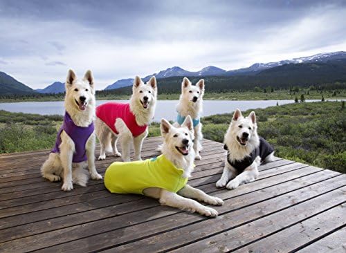 מוצרי מחמד RC פליס כלבים, מעיל כלבים, גודל 28, שחור/סיד