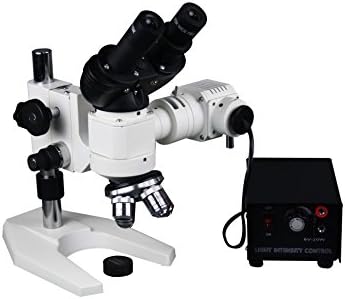 בדיקת מתכת משקפת רדיקלית פי 1200 מטלורגיה מיקרוסקופ אור עליון עם מצלמה 5 מגה פיקסל