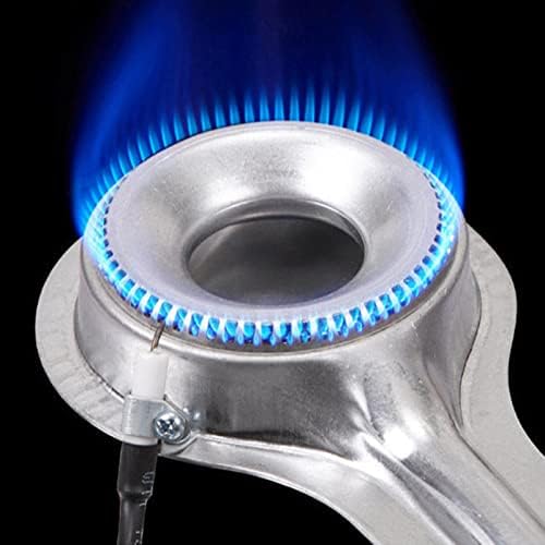 תנור גז נייד של דונגסי עם נשיאת נשיאה 9,000 תנור BTU Butane תנור קירור נירוסטה טווח כיריים קמפינג קמפינג