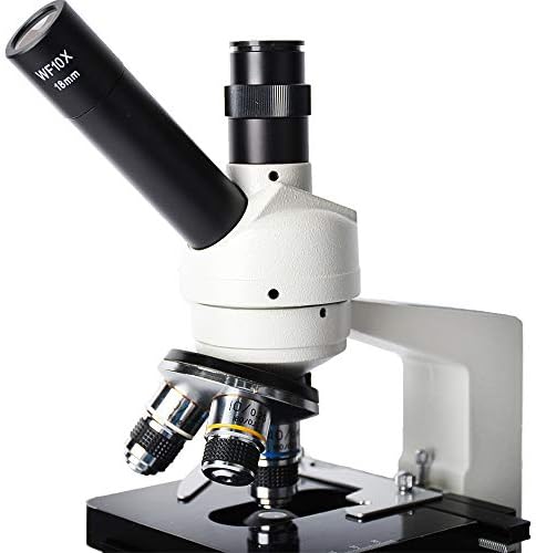 מיקרוסקופ ביולוגי 40-1600 יכול לצלם תמונות תצוגה בגודל 11.6 אינץ ' יכולה לצלם תמונות מיקרוסקופ אלקטרונים
