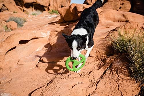 WO Wild + Play כל כלב הגזע הגדול עמיד תוצרת ארהב בפלאש ארהב ופריסבי צעצועים קומבו מגוון חבילה,