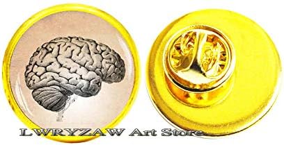סיכת מוח אנטומית, סיכת מוח אנטומית, סיכת גברים, סיכת אנטומיה מוחית אנושית, גרפיקה של אמנות, M101