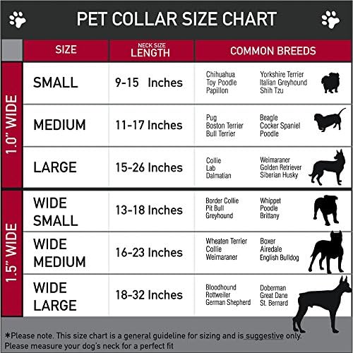 צווארון כלבים של אבזם בטיחות אבזם אבזם - תנוחות תפר/מיני סקראמפ מפוזרים - 1 רחב - מתאים לצוואר 15-26 - גדול
