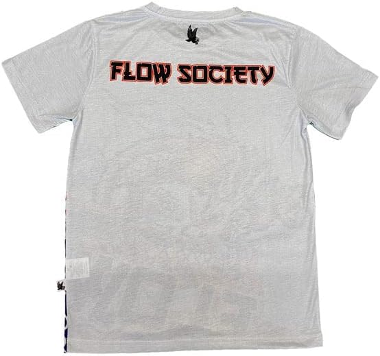 חברת Flow Societ