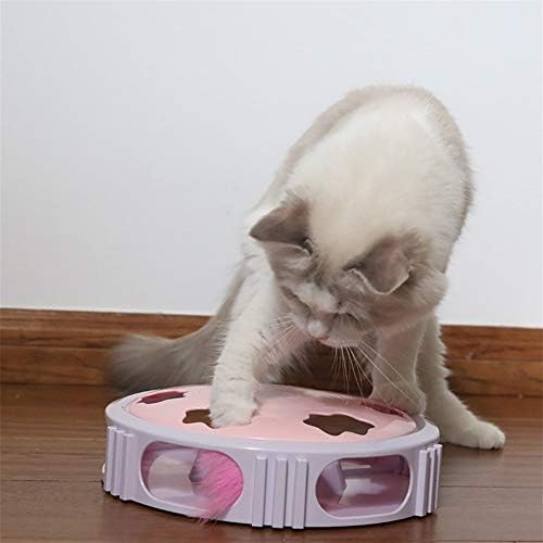 לוגו היי סיבוב אוטומטי מהחתול הפולט בהיר מצחיק חתול מצחיק פטיפון במבוך