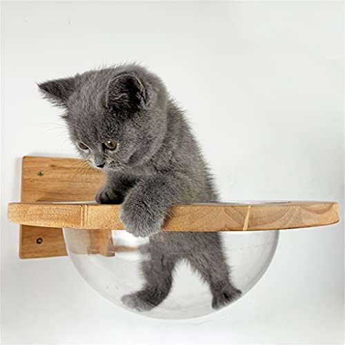 WZHSDKL רכוב קיר רכוב קנה קנה חלל קנה חתולים קיר בית חתולים עץ עץ חתולי עץ מסגרת מטפסים מיטת חתלתול