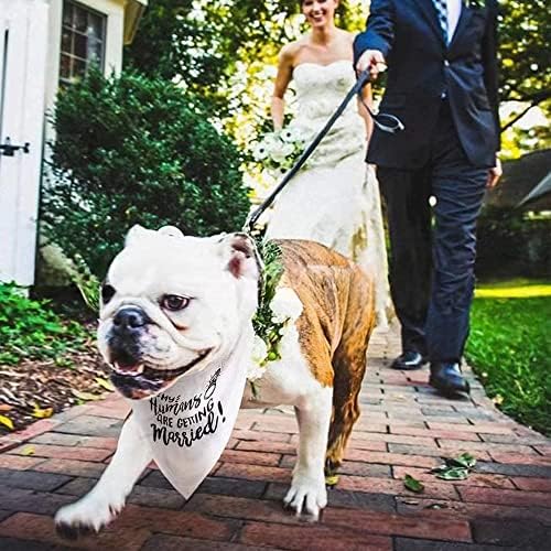 בני האדם שלי מתחתנים בנדנה לכלבים, ויקאנו בנדנה לכלבים לחתונה, הכרזת אירוסין לכלבים, אבזר צילום לחתונה, צעיף
