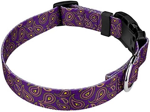 Country Brook Petz - Deluxe Purple Paisley Collar - תוצרת ארהב - אוסף פייזלי עם 6 עיצובים קלאסיים