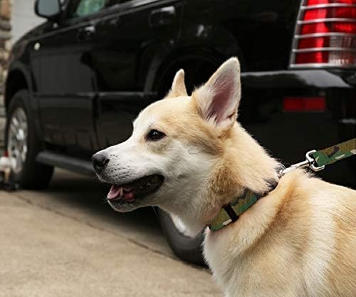 אייל חיית מחמד ללבוש צווארון כלבים Camo - צווארון כלבים אטום למים הסוואה, מיוצר בארצות הברית - 1 אינץ 'מתאים