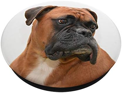 ראש כלב בוקסר פופגריפ פופגריפ: אחיזה הניתנת להחלפה לטלפונים וטבליות