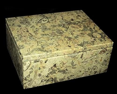 קופסת אבן אלמוגים דקורטיבית של ח'נימפורט, מתנת אלמוגים מסורתית ליום יום נישואין 35