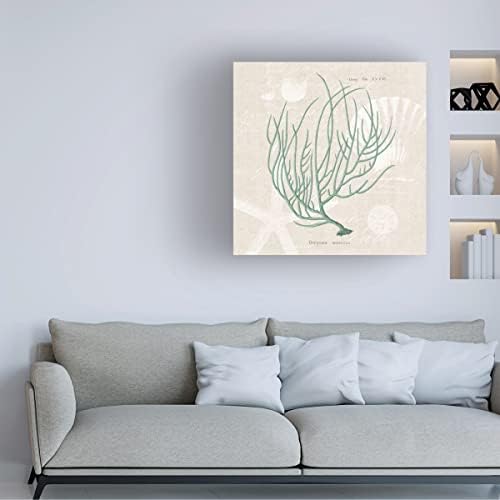סימן מסחרי אמנות 'Gorgonia miniacea על פשתן קצף ים SQ' אמנות בד מאת תיק תפוחים פראי