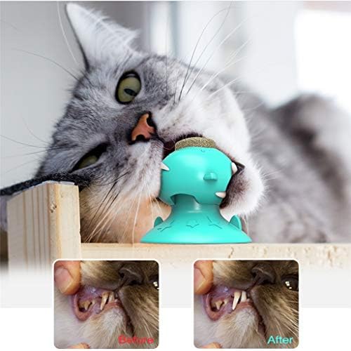 סלאטיום חתולי חיות מחמד מברשת שיניים צעצוע מצחיק