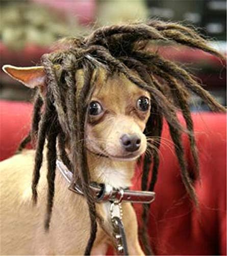 ציוד חיות מחמד של Drasawee -תלבושות של Dog Roedlock חום הרחבת שיער סינטטי שיער חיות מחמד פאות חתול