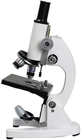 מיקרוסקופ אביזרי 40-2000 פעמים ביולוגי מיקרוסקופ מעבדה עם 5 חתיכה זכוכית מיקרוסקופ מוכן שקופיות