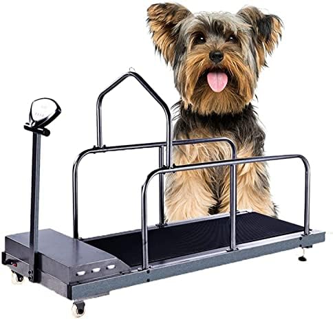 הליכון לכלבים MLSJM, ציוד כושר לחיות מחמד מכונת ריצה לחיות מחמד לכלבים, קיבולת של 200 קילוגרמים, ציוד