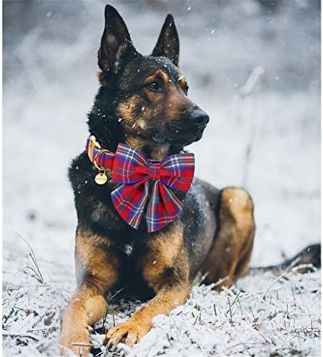 צווארון כלבי כותנה לחג המולד של וולנוטה עם צווארון גורים משובץ אדום וכחול