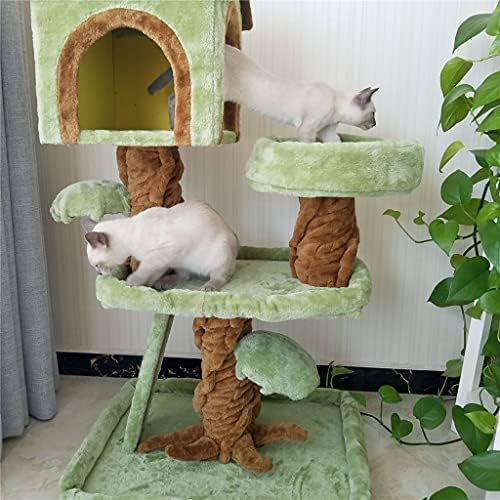 גדול עץ חתולים המלטת עץ אחד טונגטיאנצ ' ו טיפוס מסגרת בית ציוד לחיות מחמד