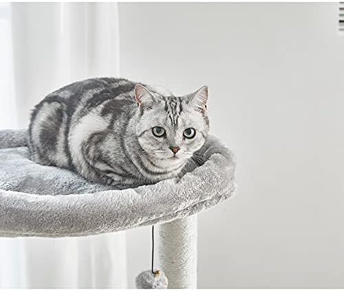 פסופר 35.4 אינץ ' עץ חתול, מגדל חתול קטן עם עמודי גירוד מכוסים סיסל, מוט קטיפה גדול לחתלתול, אפור בהיר